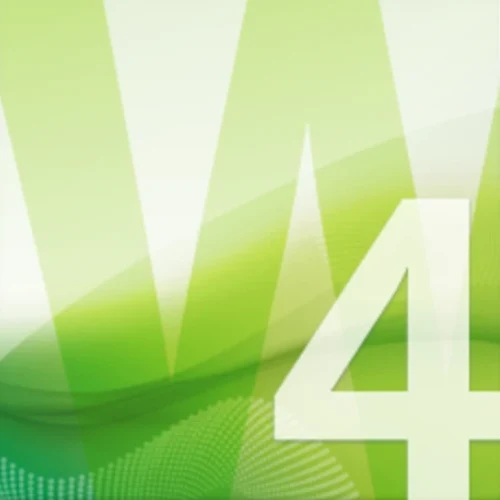 Expression Web 4 Logo