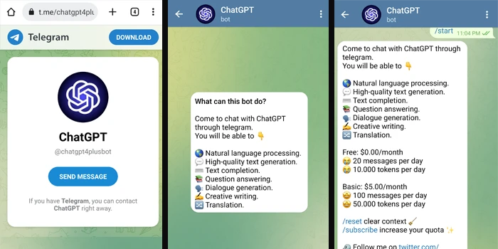 ChatGPT Bot